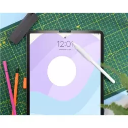 Paperlike Pro-komplekt 11"
