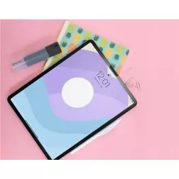 Paperlike Pro-komplekt 11"