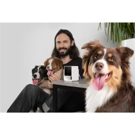 PetCube Kamera