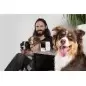 PetCube Cam