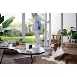 PetCube Cam