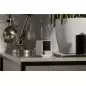 PetCube Cam