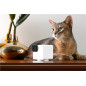 PetCube Cam 360