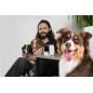 PetCube Cam