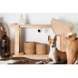 PetCube Cam