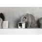PetCube Cam
