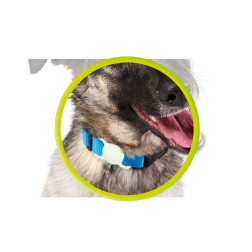 Mobile Origin AirTag Pet Collar, luminous green