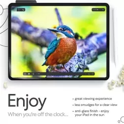 Paperlike Ekrano apsauga - iPad mini 6 2021